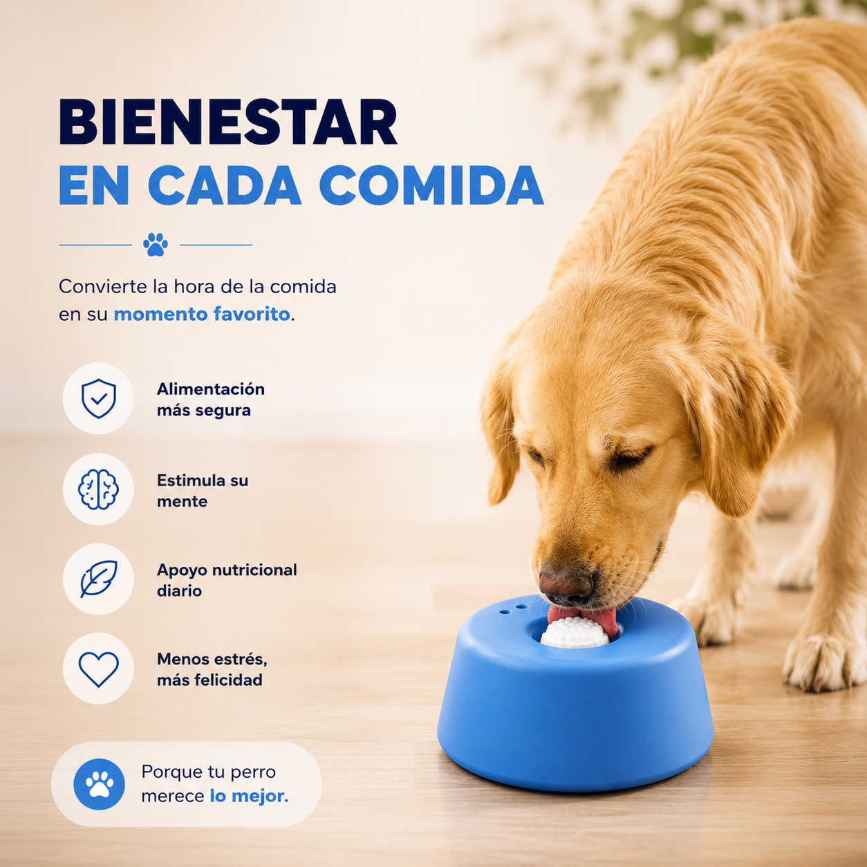 CalmBowl